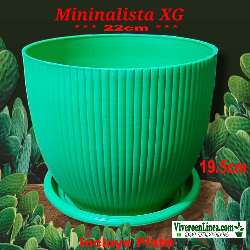 Maceta Minimalista XG