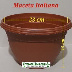 Maceta Italiana