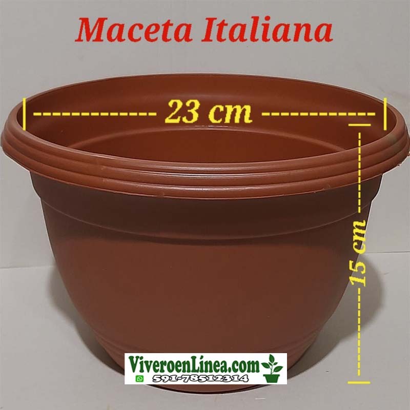 Maceta Italiana