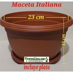 Maceta Italiana