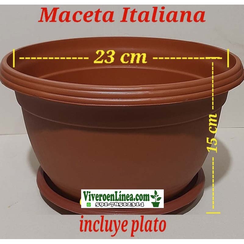 Maceta Italiana