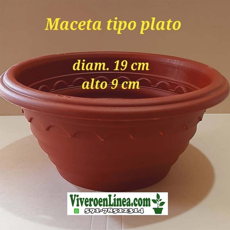 Maceta de Plato