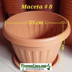 Maceta 8