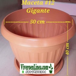 Maceta 12