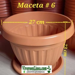 Maceta 6