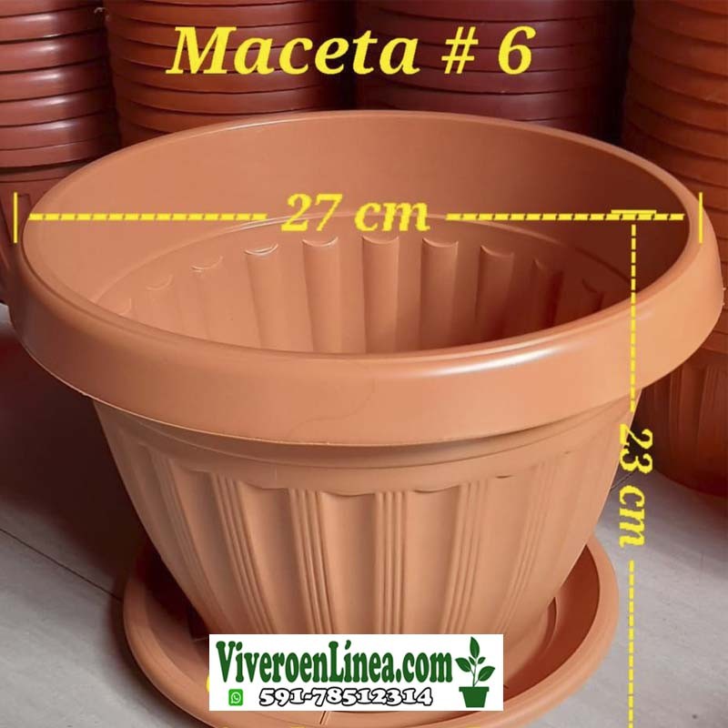 Maceta 6