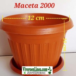 Maceta 2000