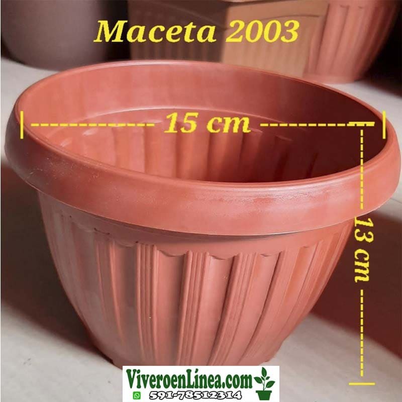 Maceta 2003