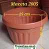 Maceta 2005