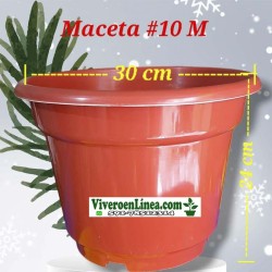 Maceta 10M