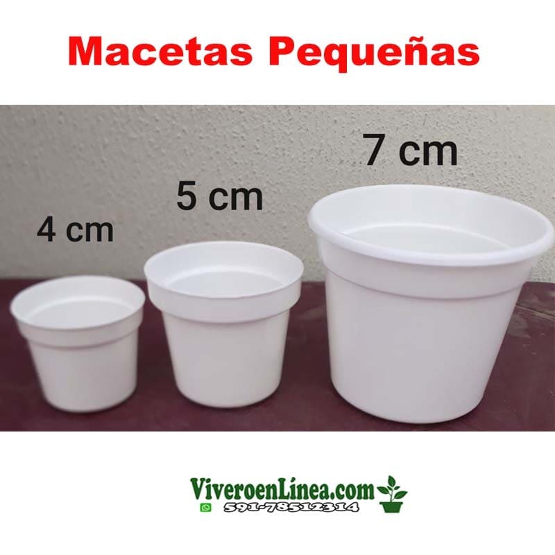 Maceta Pequeña